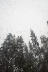 DSC08469.JPG