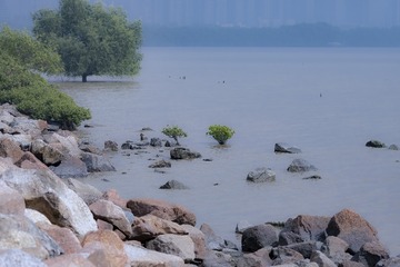 _IMG7048