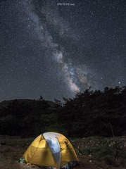 PAN_1186