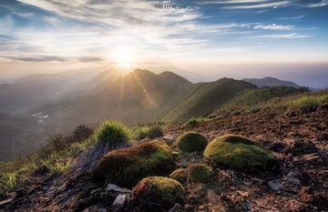 PAN_1573