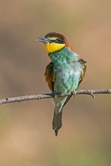 DSC_7163-1600