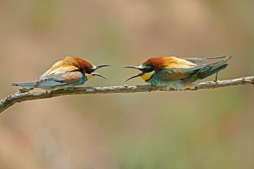 DSC_7839-1600