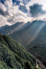 _DSC6495
