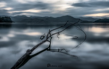 _DSC9370