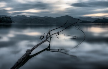 _DSC9370