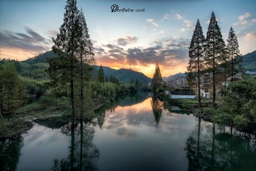 _DSC1771