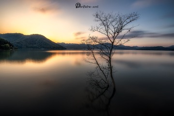 _DSC3298