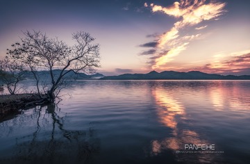 _DSC1007-恢复的-2