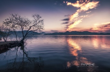 _DSC1007-恢复的-555
