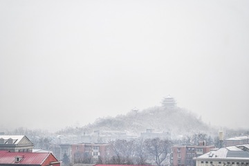 DSC00451-编辑-2
