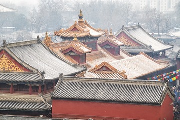 DSC00496-编辑-编辑