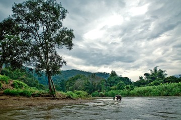 _J011413-222
