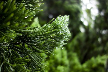 DSC02161_