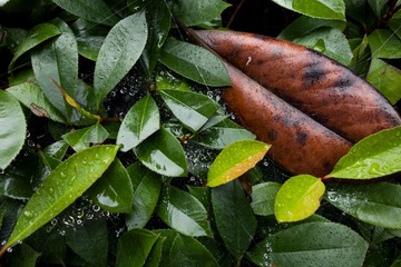 DSC02165_