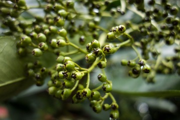 DSC02166_