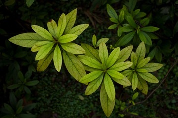 DSC02190_