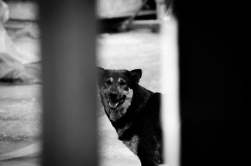 DSC_8126.jpg