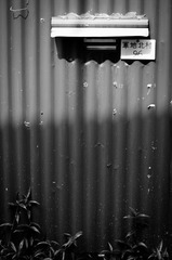 DSC_8149.jpg