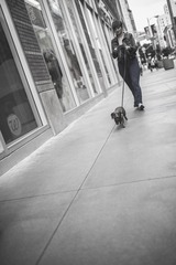 DSC_8441.jpg