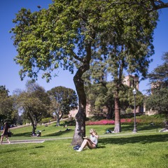 DSC_8510.jpg