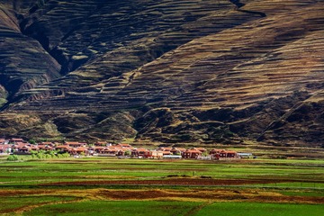 DSC_1695-3