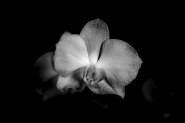 _DSC0283