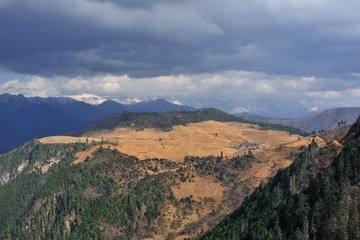 06.jpg