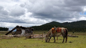 DSC05468.JPG
