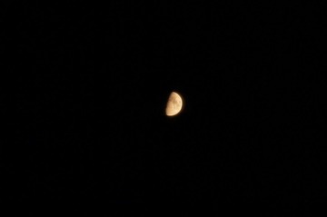 DSC06987.JPG