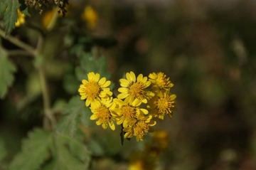 DSC07424.JPG