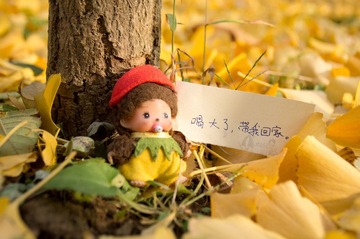 DSC07895.jpg