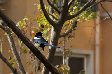 DSC07914.jpg