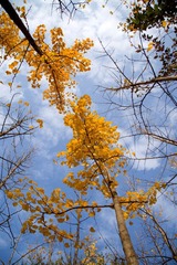 DSC07900-1.jpg