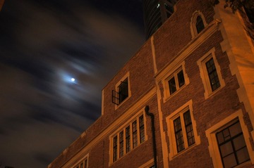 DSC08528-3.jpg