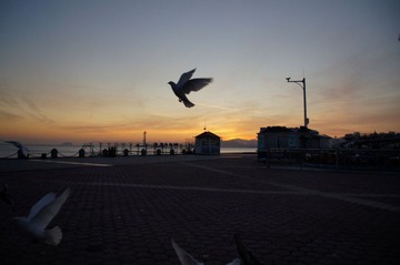 DSC09353.jpg