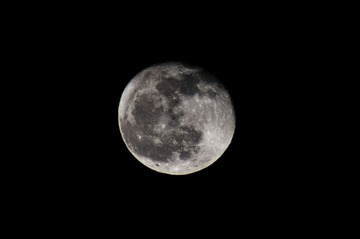 DSC09917-2.jpg