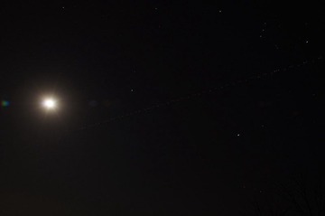 DSC09969-4.jpg