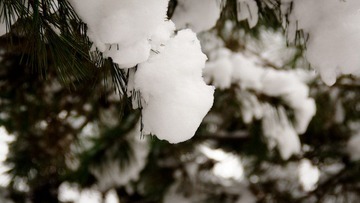 DSC01141.jpg