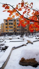 DSC01100.jpg