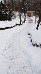 DSC01112.jpg