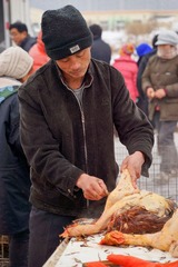 DSC00374.jpg