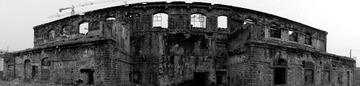 DSC01641.jpg