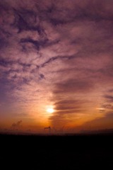 DSC03750.JPG