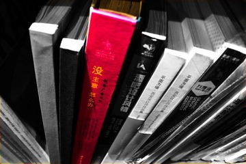 DSC03827-1.JPG