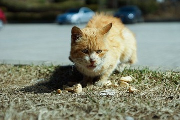 DSC04575.JPG