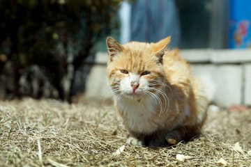 DSC04584.JPG