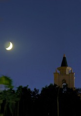 DSC02411-1.jpg