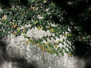20131009_072413