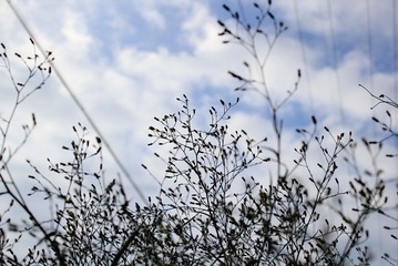 IMG_0022.jpg