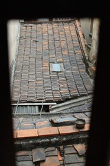 IMG_0110.jpg